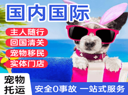 长治王村机场快运国际宠物托运 【国